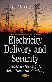 Produktbild: Electricity Delivery & Security