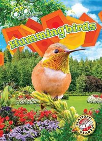 Produktbild: Hummingbirds
