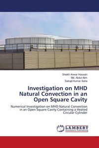Produktbild: Investigation on MHD Natural Convection in an Open Square Cavity