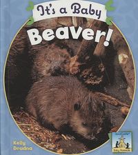 Produktbild: Its a Baby Beaver
