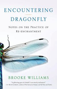 Produktbild: Encountering Dragonfly
