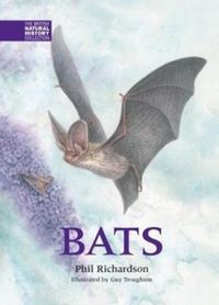 Produktbild: Bats