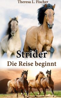 Produktbild: Strider