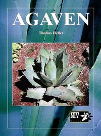 Produktbild: Agaven