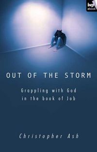 Produktbild: Out of the storm