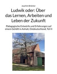 Produktbild: Ludwik oder: &Uuml;ber das Lernen, Arbeiten und Leben der Zukunft