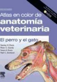 Produktbild: Atlas en color de anatom&iacute;a veterinaria : el perro y el gato