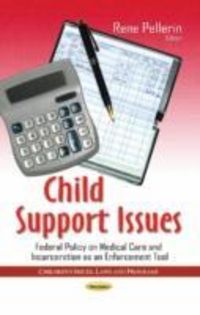 Produktbild: Child Support Issues
