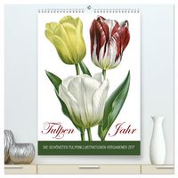 Produktbild: Tulpen - Jahr (hochwertiger Premium Wandkalender 2026 DIN A2 hoch), Kunstdruck in Hochglanz