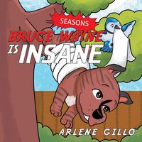 Produktbild: Bruce Wayne Is Insane