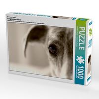 Produktbild: CALVENDO Puzzle Ein Motiv aus dem Kalender Galgo eye-catcher | 1000 Teile Lege-Gr&ouml;&szlig;e 64x48cm Foto-Puzzle f&uuml;r gl&uuml;ckliche Stunden