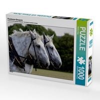 Produktbild: CALVENDO Puzzle Percheron-Gespann | 1000 Teile Lege-Gr&ouml;&szlig;e 64x48cm Foto-Puzzle f&uuml;r gl&uuml;ckliche Stunden