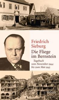 Produktbild: Die Fliege im Bernstein