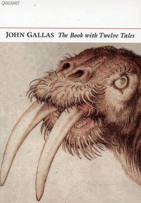Produktbild: The Book with Twelve Tales