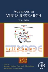 Produktbild: Virus Entry