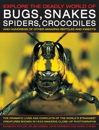 Produktbild: Explore the Deadly World of Bugs, Snakes, Spiders & Crocodiles