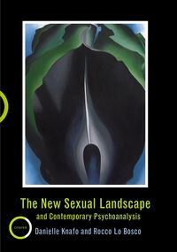 Produktbild: The New Sexual Landscape and Contemporary Psychoanalysis