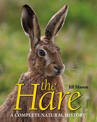 Produktbild: The Hare