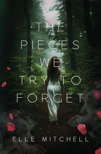Produktbild: The Pieces We Try to Forget
