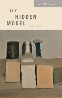Produktbild: The Hidden Model