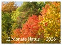 Produktbild: 12 Monate Natur (Wandkalender 2026 DIN A2 quer), CALVENDO Monatskalender