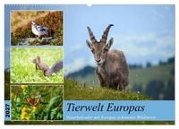 Produktbild: Tierwelt Europas - Naturkalender mit Europas sch&ouml;nsten Wildtieren (Wandkalender 2027 DIN A2 quer), CALVENDO Monatskalender