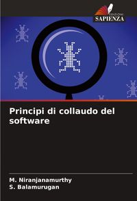 Produktbild: Principi di collaudo del software