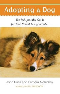 Produktbild: Adopting a Dog