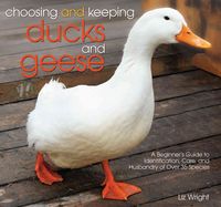 Produktbild: Choosing & Keeping Ducks & Gee