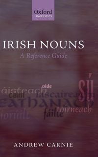 Produktbild: Irish Nouns