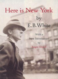 Produktbild: Here is New York