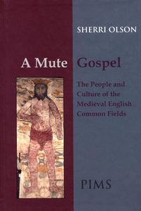 Produktbild: A Mute Gospel