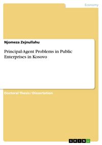 Produktbild: Principal-Agent Problems in Public Enterprises in Kosovo