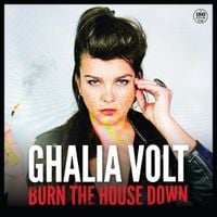 Produktbild: Burn The House Down (180g Black Vinyl)