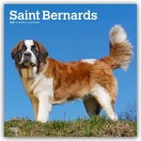 Produktbild: Saint Bernards &ndash; Bernhardiner 2027 &ndash; 16-Monatskalender
