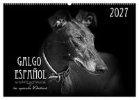 Produktbild: Galgo Espa&ntilde;ol - der spanische Windhund 2027 (Wandkalender 2027 DIN A2 quer), CALVENDO Monatskalender