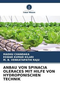 Produktbild: Anbau von Spinacia Oleraces mit Hilfe von Hydroponischen Technik