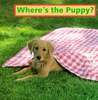 Produktbild: Where's the Puppy?