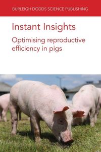 Produktbild: Instant Insights