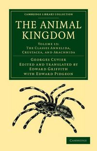 Produktbild: The Animal Kingdom - Volume 13