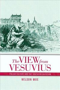 Produktbild: The View from Vesuvius: Italian Culture and the Southern Question