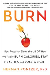 Produktbild: Burn