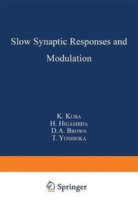 Produktbild: Slow Synaptic Responses and Modulation