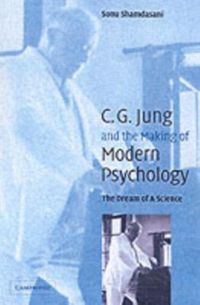 Produktbild: Jung and the Making of Modern Psychology
