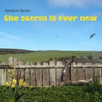 Produktbild: The storm is over now, CD