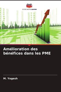 Produktbild: Am&eacute;lioration des b&eacute;n&eacute;fices dans les PME