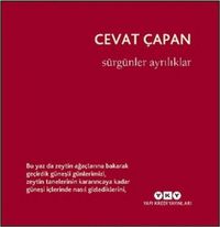 Produktbild: S&uuml;rg&uuml;nler Ayriliklar