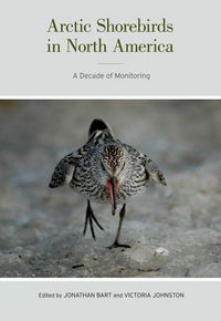 Produktbild: Arctic Shorebirds in North America