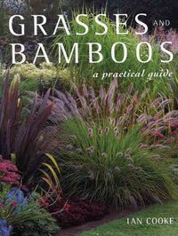 Produktbild: Grasses & Bamboos