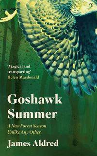 Produktbild: Aldred, J: Goshawk Summer